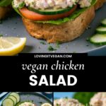 Vegan Chicken Salad